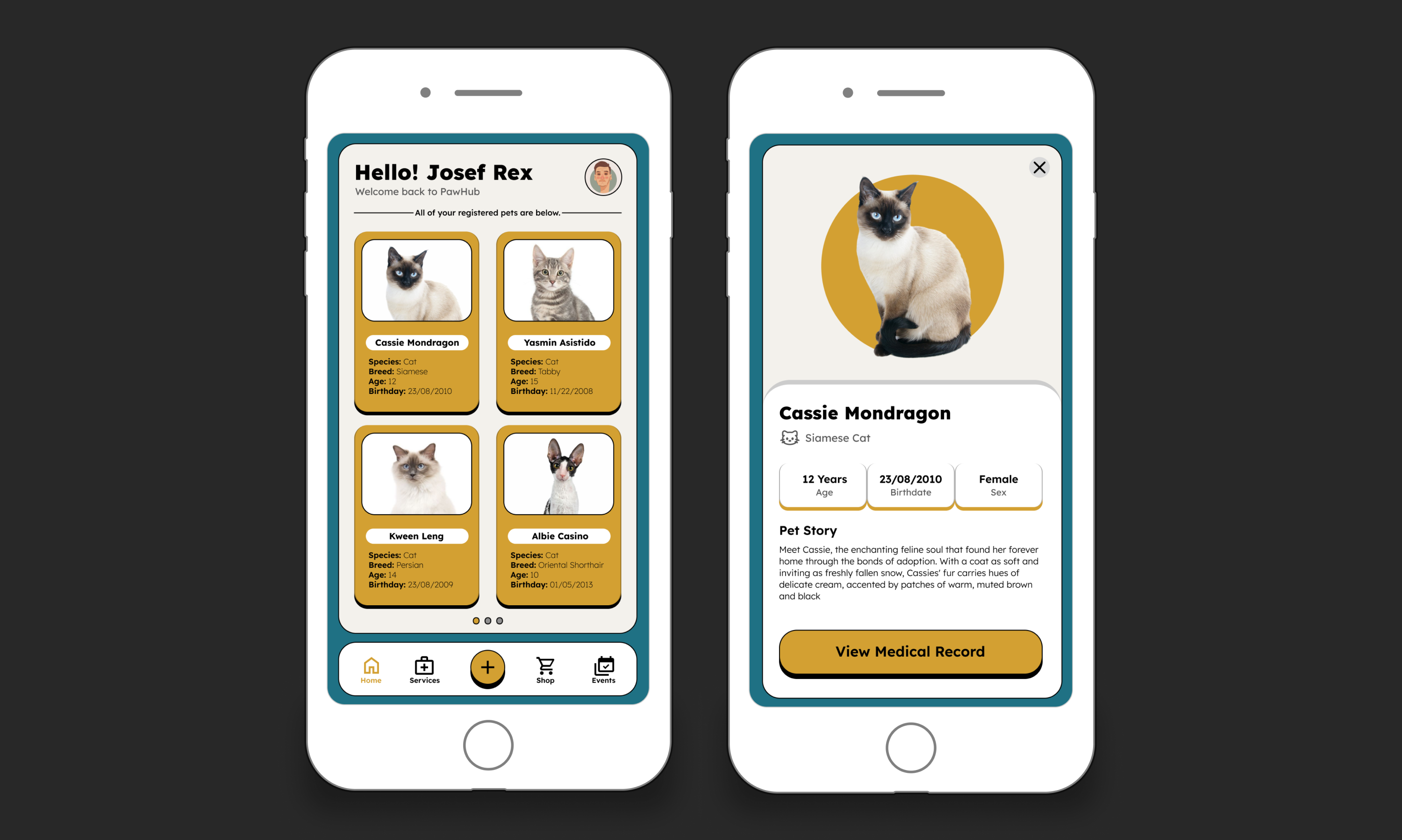 Paw Hub UI in a phone mockup